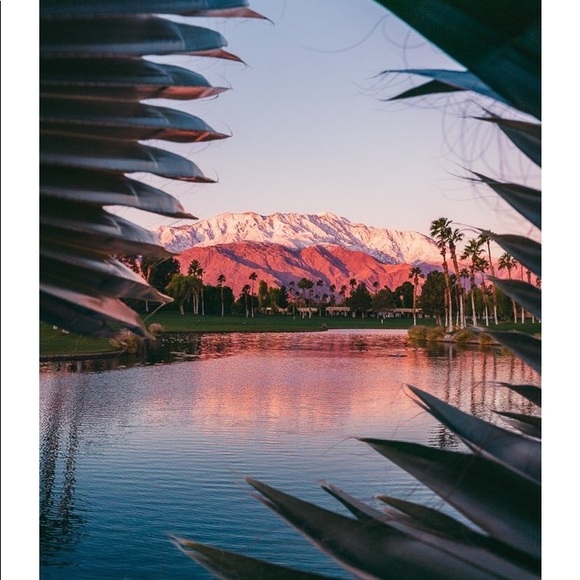 Meet your Posher, Mary - Picture 1 of 1